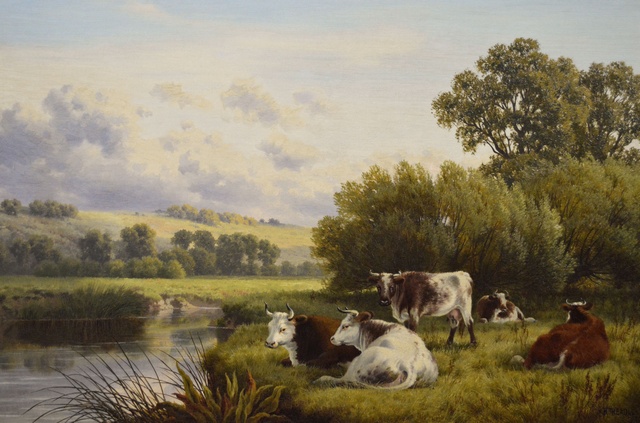 Cattle Resting