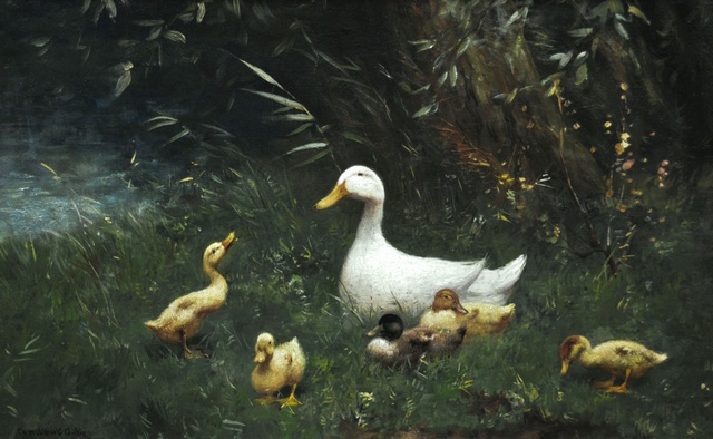 Mother Duck & Ducklings