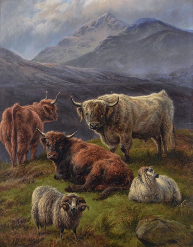 Cattle & Sheep in the Scottish Highlands