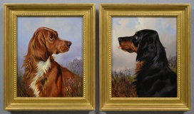 Irish Setter & Gordon Setter