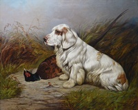 Clumber Spaniel with Game