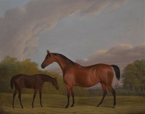 Bay Hunter & Foal in a Landscape