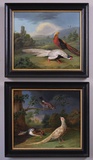 Pheasant, Duck &amp; Jay in a wooded river landscape &amp; Golden and Silver Pheasant in a landscape