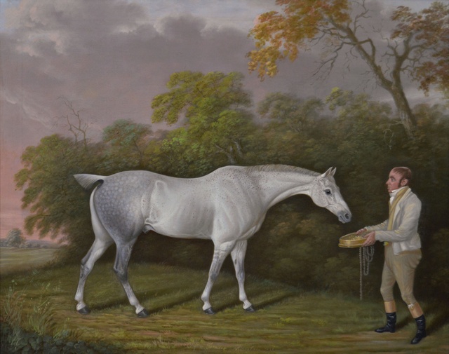 Catching a Horse