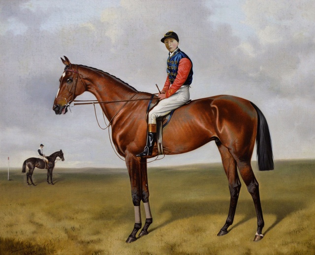 Diamond Jubilee with Jockey Up