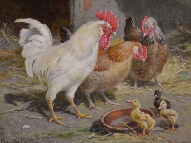 Hens & a Cockerel with Chicks