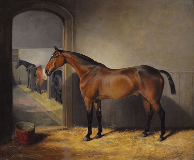 Bay Horse in a Stable