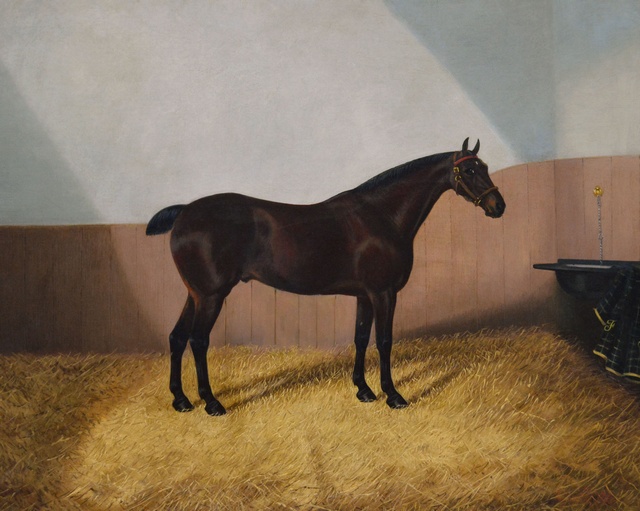 Bay Horse in a Stable