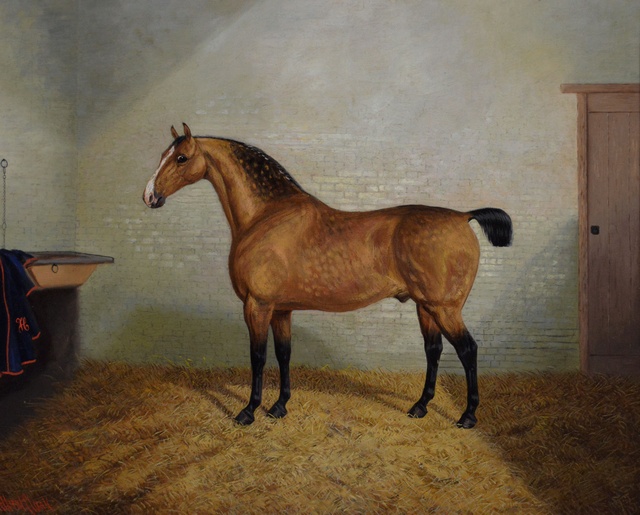 Dappled Buckskin Horse in a Stable