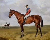 Diamond Jubilee with Jockey Up