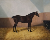 Bay Horse in a Stable