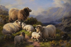 Evening, Loch Tay, Perthshire